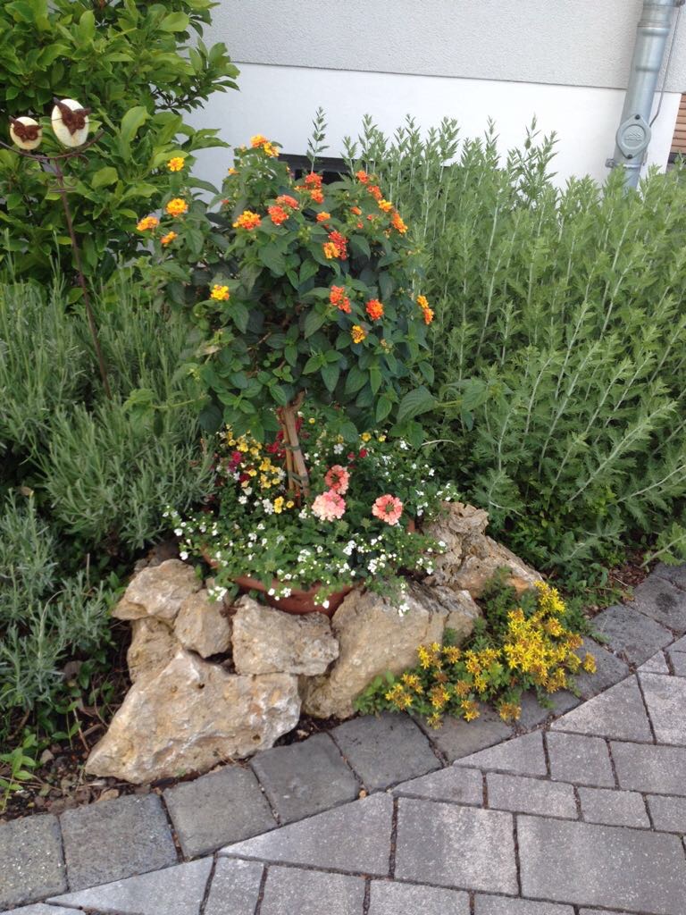 2017-06-04_20-08-24_358