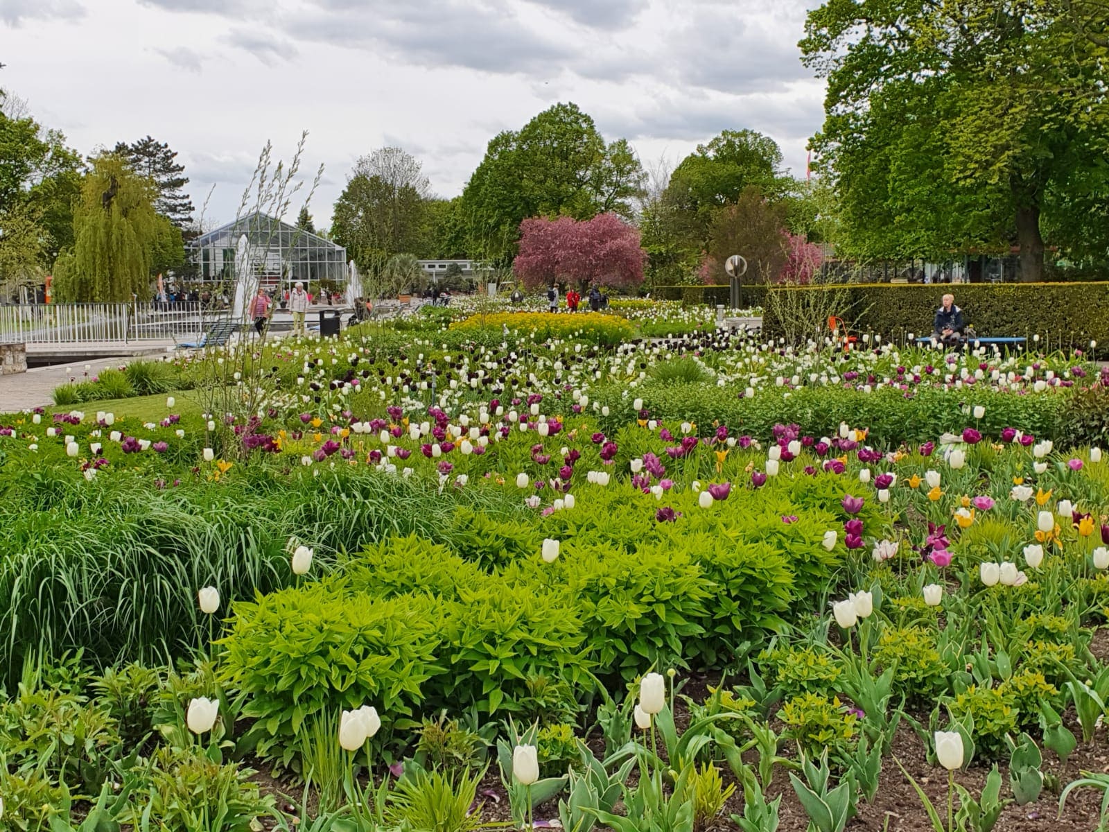 Gartenbau Erfurt, Galabau Erfurt, Garten- und Landschaftsbau, Außenanlage, Grünpflege, Gartenpflege Landschaftspflege,  Wegebau, Blumenbeet, Grünanlage, Wiese, Rasen