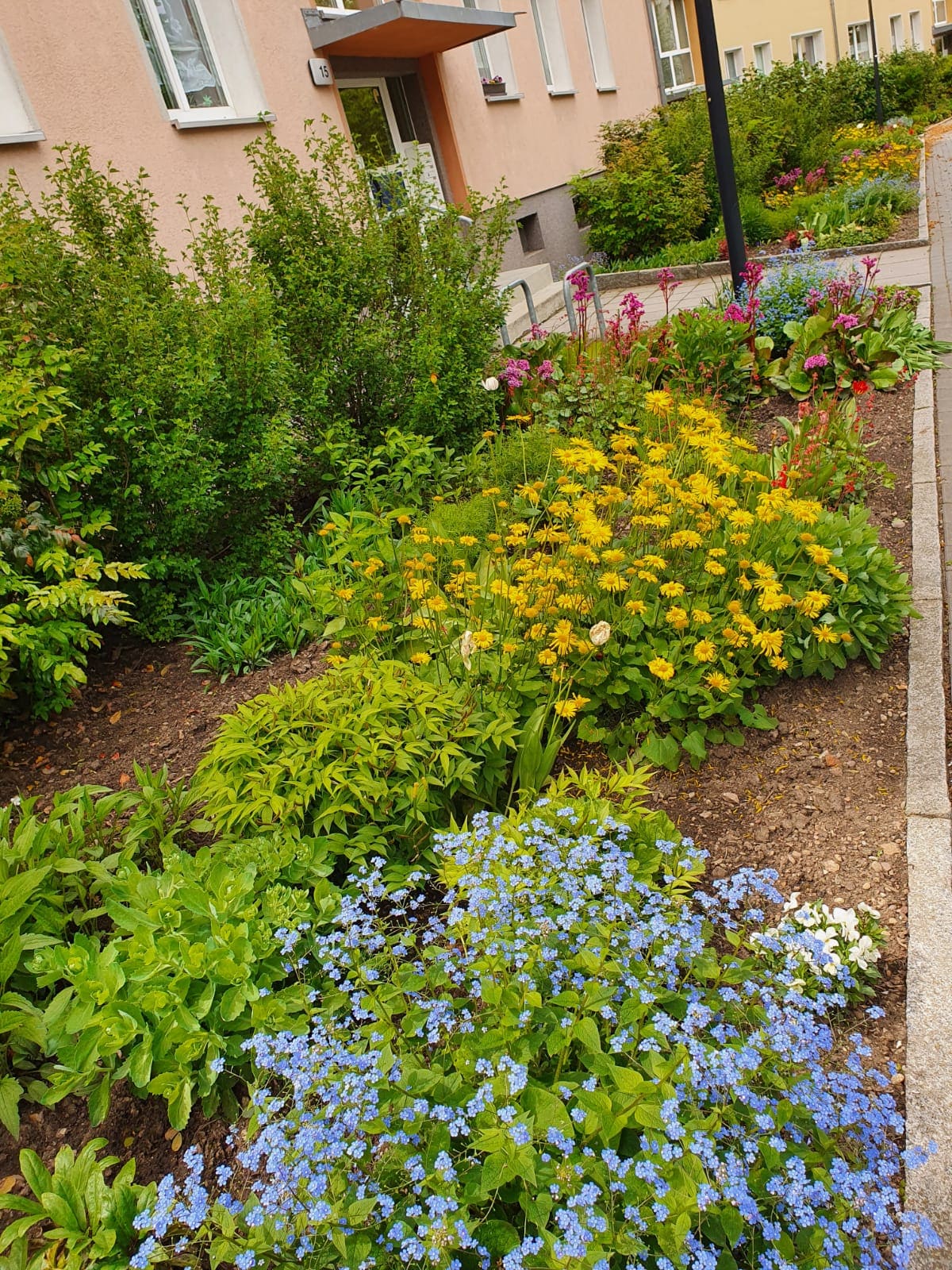 Gartenbau Erfurt, Galabau Erfurt, Garten- und Landschaftsbau, Außenanlage, Grünpflege, Gartenpflege Landschaftspflege,  Wegebau, Blumenbeet, Grünanlage, Wiese, Rasen