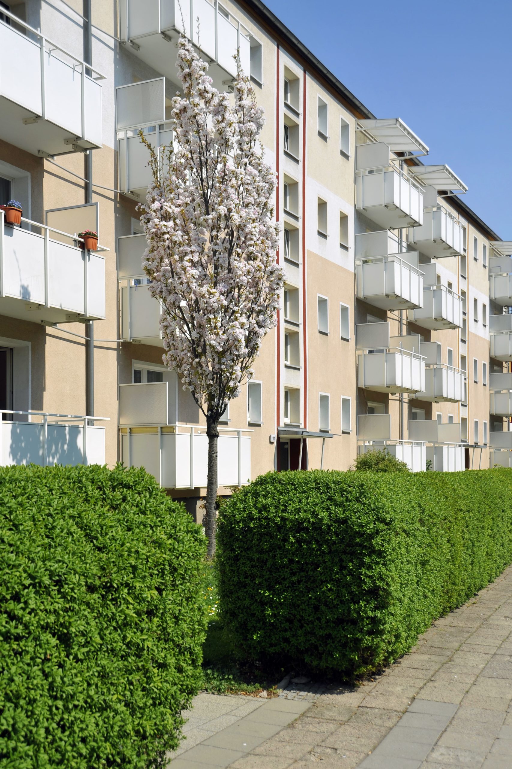 Gartenbau Erfurt, Galabau Erfurt, Garten- und Landschaftsbau, Außenanlage, Grünpflege, Gartenpflege Landschaftspflege,  Wegebau, Blumenbeet, Grünanlage, Wiese, Rasen