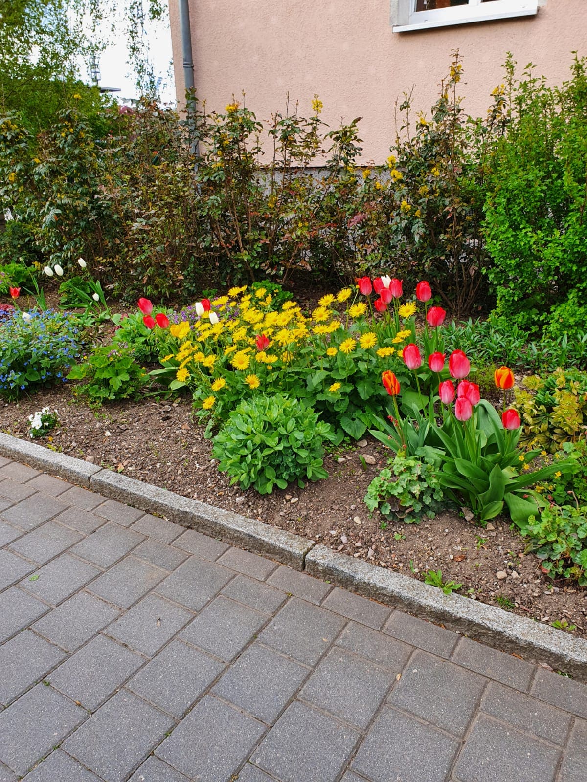Gartenbau Erfurt, Galabau Erfurt, Garten- und Landschaftsbau, Außenanlage, Grünpflege, Gartenpflege Landschaftspflege,  Wegebau, Blumenbeet, Grünanlage, Wiese, Rasen