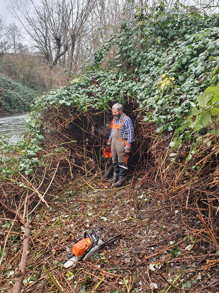 Gartenbau Erfurt, Galabau Erfurt, Garten- und Landschaftsbau, Außenanlage, Wegebau, Vorgarten, Grünpflege, Rasen, Wohngrün, Baumpflege 